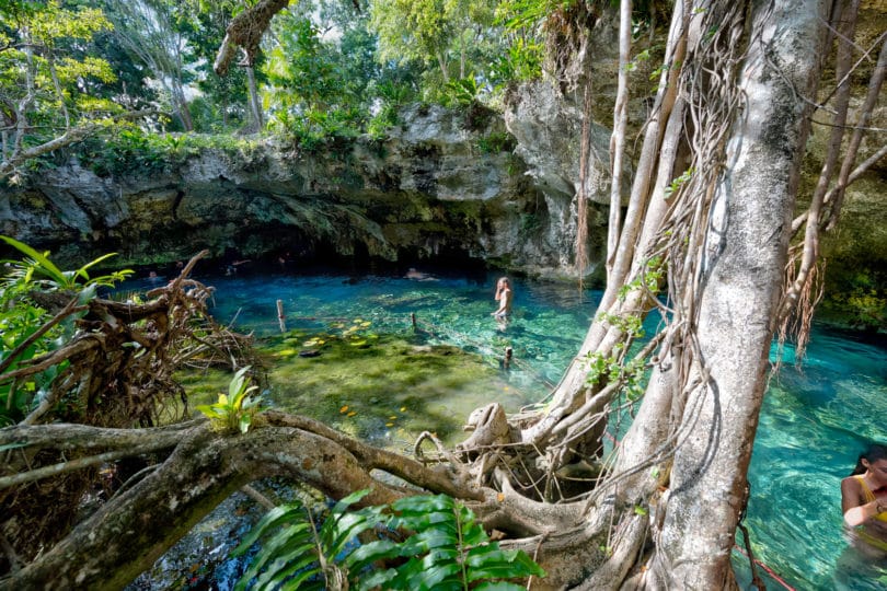 Der Gran Cenote bei Tulum an der Riviera Maya